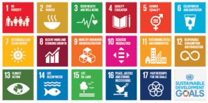 Sustainable development goals